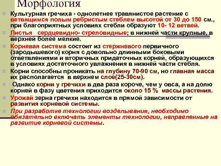 Морфология n Культурная гречиха - однолетнее травянистое растение с n n n ветвящимся полым