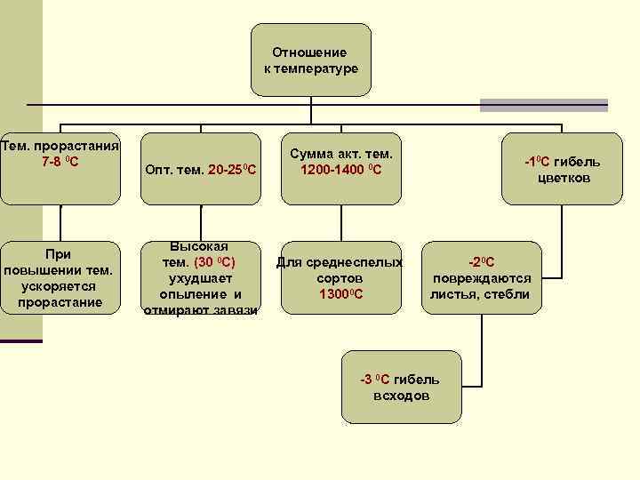 Отношение к температуре Тем. прорастания 7 -8 0 С При повышении тем. ускоряется прорастание