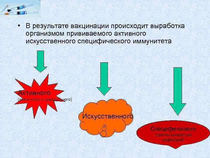  • В результате вакцинации происходит выработка организмом прививаемого активного искусственного специфического иммунитета Активного