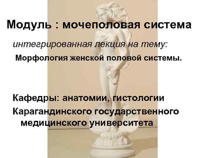 Модуль : мочеполовая система интегрированная лекция на тему: Морфология женской половой системы. Кафедры: анатомии,