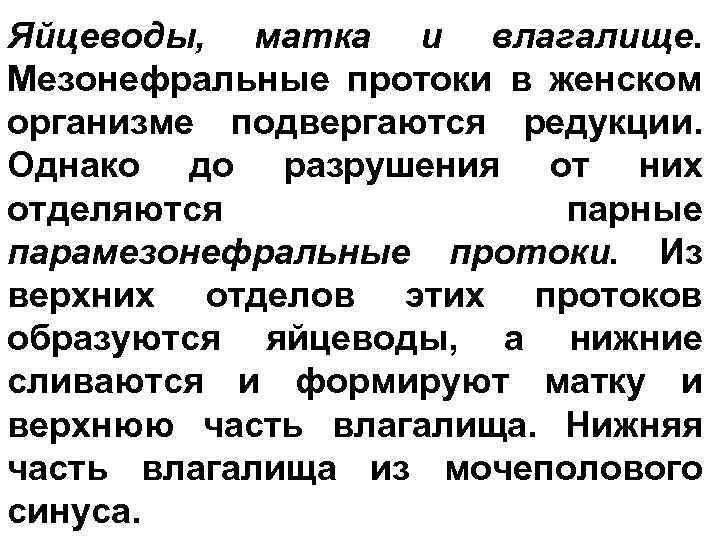 Яйцеводы, матка и влагалище. Мезонефральные протоки в женском организме подвергаются редукции. Однако до разрушения