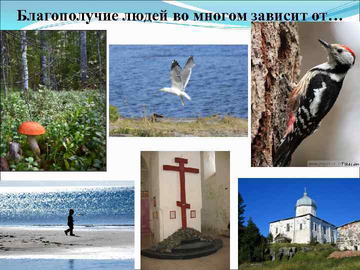 Благополучие людей во многом зависит от… 