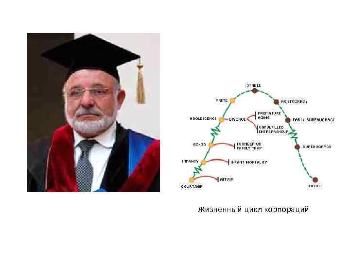 Жизненный цикл корпораций 