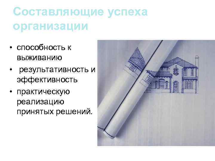 Составляющие успеха организации • способность к выживанию • результативность и эффективность • практическую реализацию
