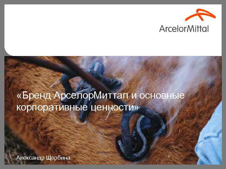  «Бренд Арселор. Миттал и основные Brand корпоративные ценности» – ответственность каждого! Ноябрь 2009