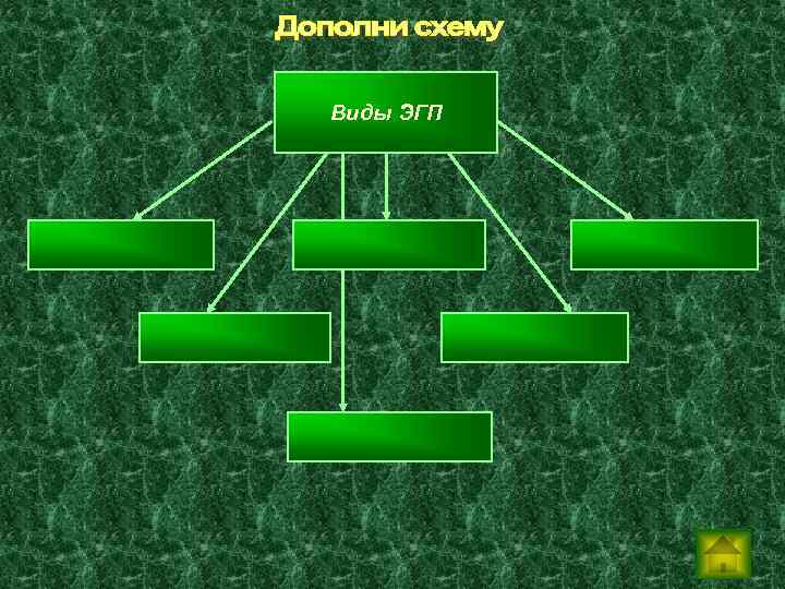 Виды ЭГП 