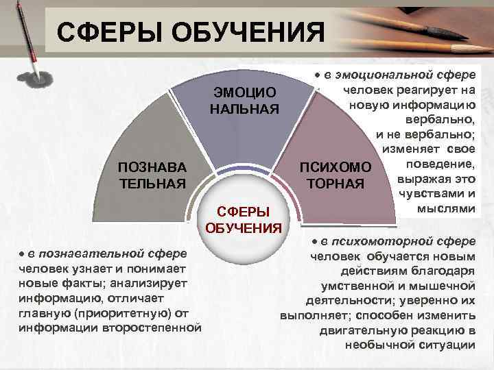  СФЕРЫ ОБУЧЕНИЯ в эмоциональной сфере ЭМОЦИО человек реагирует на НАЛЬНАЯ новую информацию вербально,