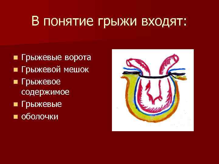 В понятие грыжи входят: n n n Грыжевые ворота Грыжевой мешок Грыжевое содержимое Грыжевые