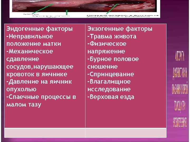 Эндогенные факторы Экзогенные факторы -Неправильное   -Травма живота положение матки  -Физическое -Механическое