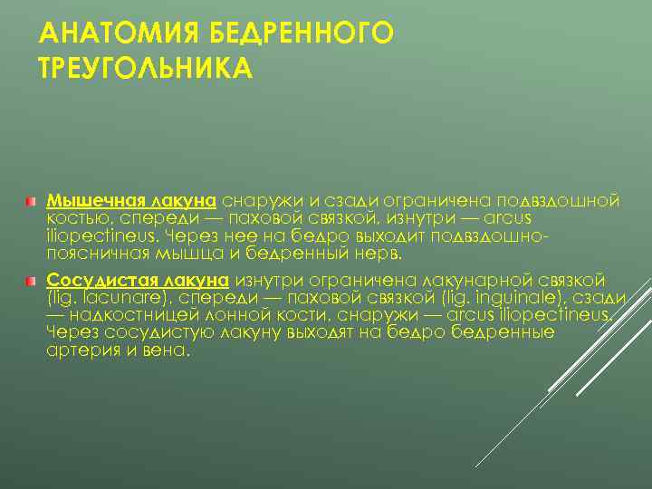 АНАТОМИЯ БЕДРЕННОГО ТРЕУГОЛЬНИКА  Мышечная лакуна снаружи и сзади ограничена подвздошной костью, спереди —