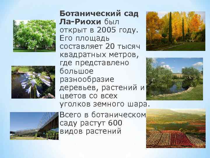 Ботанический сад Ла-Риохи был открыт в 2005 году. Его площадь составляет 20 тысяч квадратных