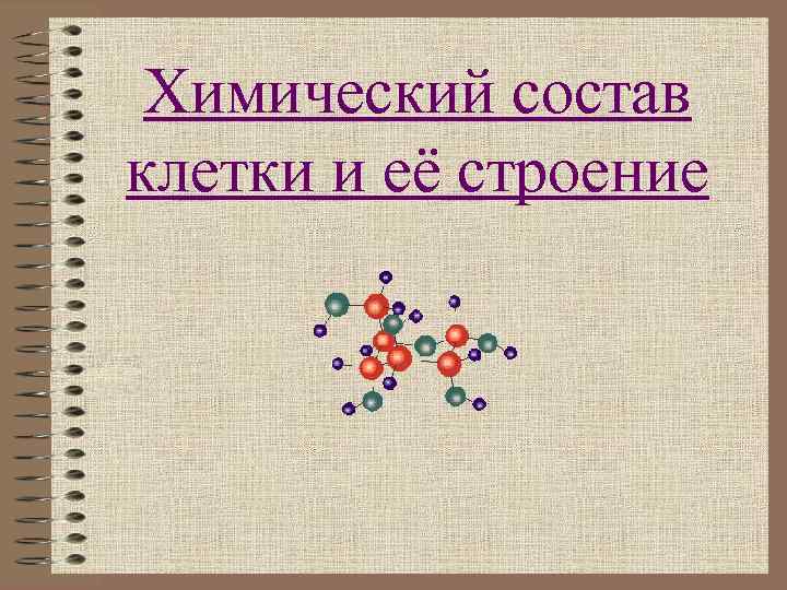  Химический состав клетки и её строение 