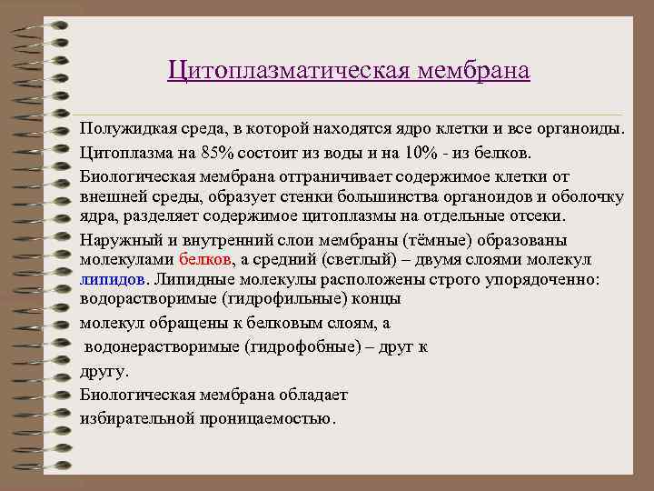    Цитоплазматическая мембрана Полужидкая среда, в которой находятся ядро клетки и все
