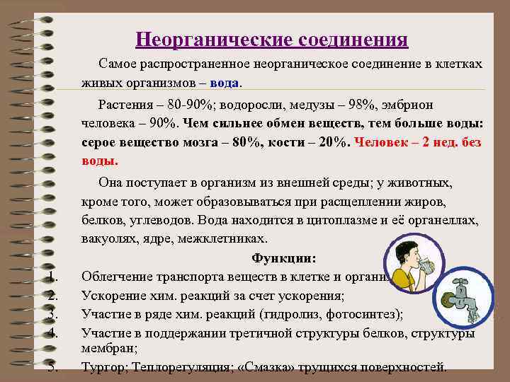    Неорганические соединения  Самое распространенное неорганическое соединение в клетках живых организмов