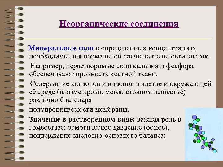   Неорганические соединения Минеральные соли в определенных концентрациях необходимы для нормальной жизнедеятельности клеток.