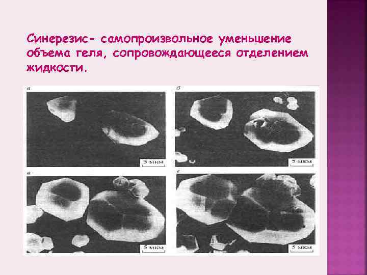 Синерезис- самопроизвольное уменьшение объема геля, сопровождающееся отделением жидкости. 