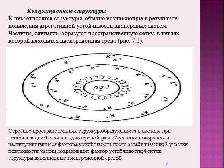  Коагуляционные структуры К ним относятся структуры, обычно возникающие в результате понижения агрегативной устойчивости