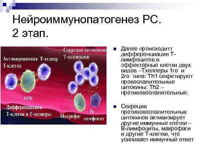 Демиелинизирующие заболевания нервной системы презентация