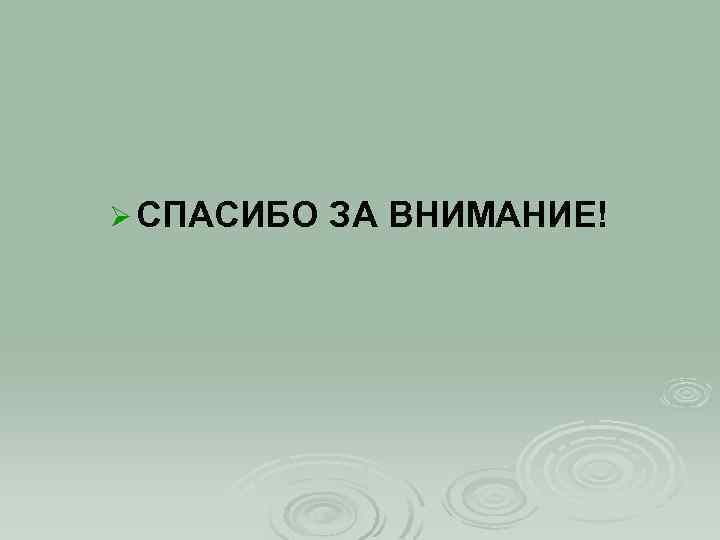 Ø СПАСИБО ЗА ВНИМАНИЕ! 