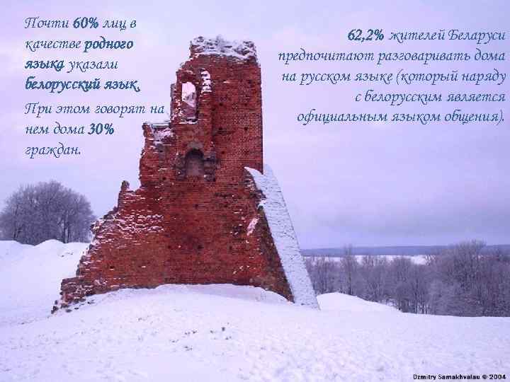 Почти 60% лиц в качестве родного языка указали белорусский язык. При этом говорят на