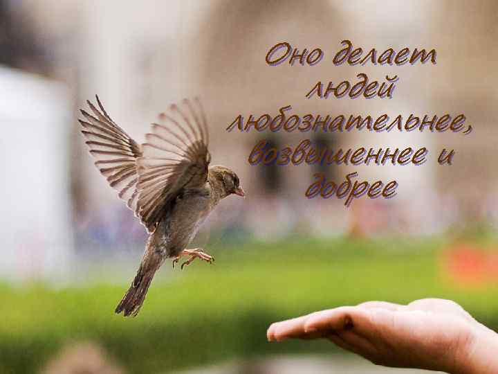 Оно делает людей любознательнее, возвышеннее и добрее 