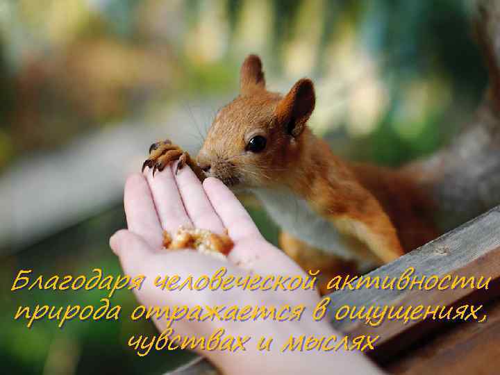 Благодаря человеческой активности природа отражается в ощущениях, чувствах и мыслях 