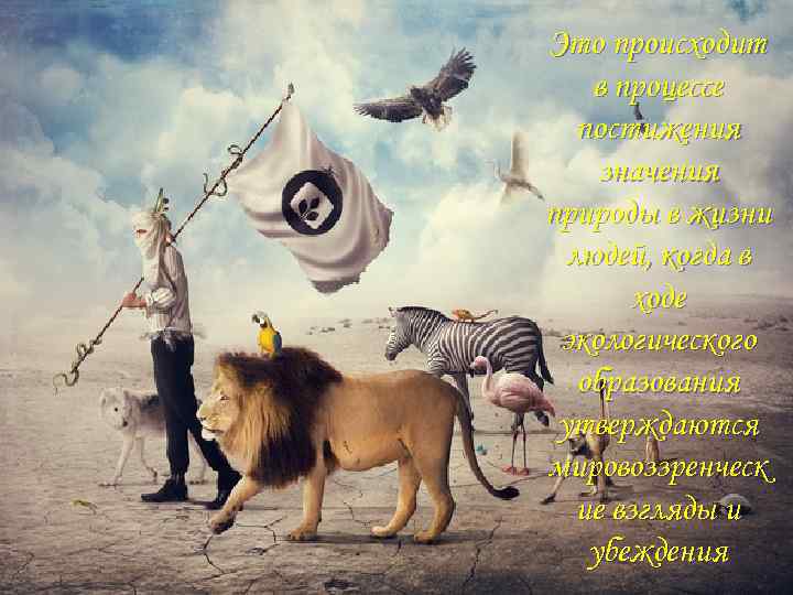 Это происходит в процессе постижения значения природы в жизни людей, когда в ходе экологического
