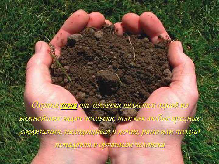 Охрана почв от человека является одной из важнейших задач человека, так как любые вредные