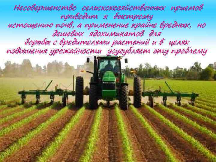 Несовершенство сельскохозяйственных приемов приводит к быстрому истощению почв, а применение крайне вредных, но дешевых