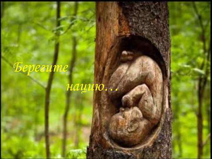 Берегите нацию… 