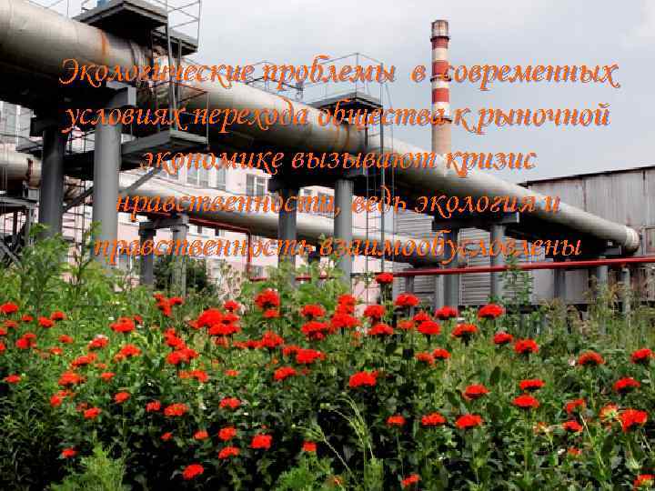 Экологические проблемы в современных условиях перехода общества к рыночной экономике вызывают кризис нравственности, ведь