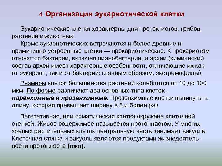 4. Организация эукариотической клетки Эукариотические клетки характерны для протоктистов, грибов, 4. Организация эукариотической клетки Эукариотические клетки характерны для протоктистов, грибов,
