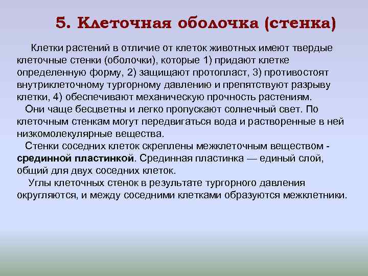 5. Клеточная оболочка (стенка) Клетки растений в отличие от клеток животных имеют 5. Клеточная оболочка (стенка) Клетки растений в отличие от клеток животных имеют