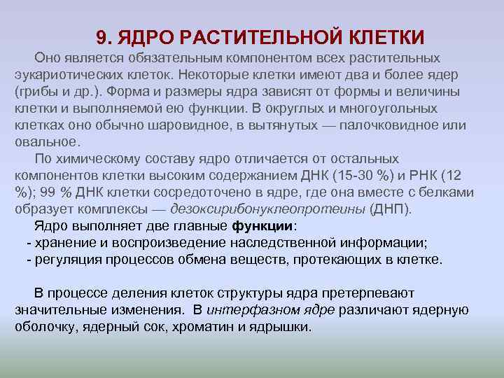 9. ЯДРО РАСТИТЕЛЬНОЙ КЛЕТКИ Оно является обязательным компонентом всех растительных эукариотических клеток. 9. ЯДРО РАСТИТЕЛЬНОЙ КЛЕТКИ Оно является обязательным компонентом всех растительных эукариотических клеток.