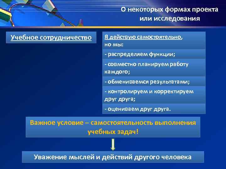 О некоторых формах проекта О некоторых формах проекта