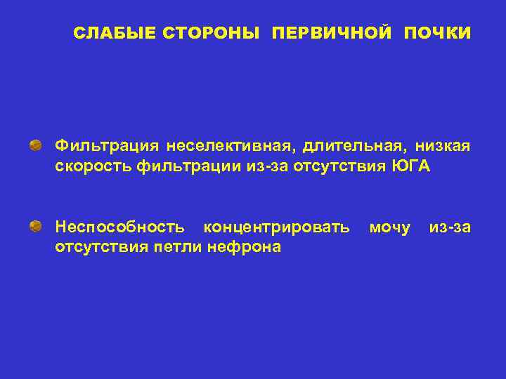 СЛАБЫЕ СТОРОНЫ ПЕРВИЧНОЙ ПОЧКИ Фильтрация неселективная, длительная, низкая скорость фильтрации из-за отсутствия ЮГА Неспособность