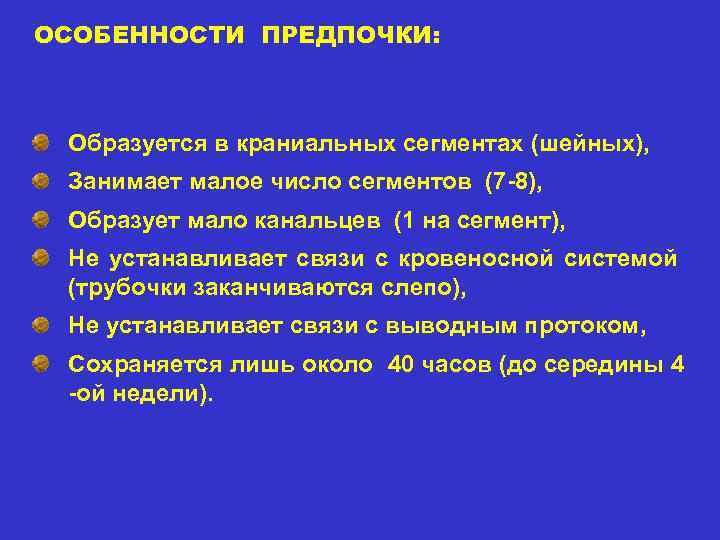 ОСОБЕННОСТИ ПРЕДПОЧКИ: Образуется в краниальных сегментах (шейных), Занимает малое число сегментов (7 -8), Образует