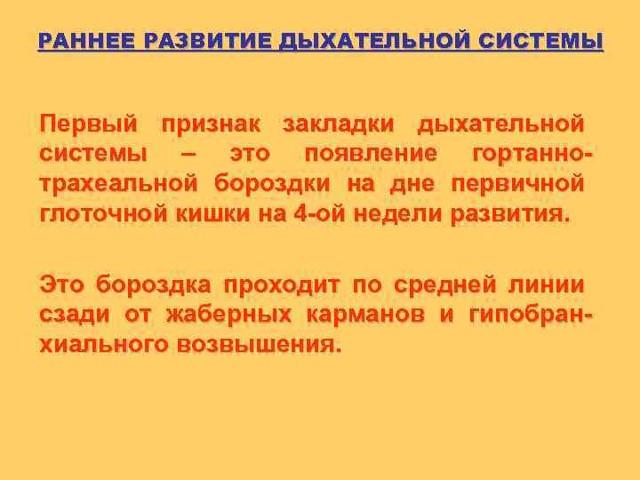 РАННЕЕ РАЗВИТИЕ ДЫХАТЕЛЬНОЙ СИСТЕМЫ Первый признак закладки дыхательной системы – это появление гортаннотрахеальной бороздки