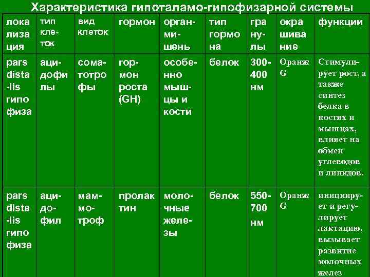 Характеристика гипоталамо-гипофизарной системы лока тип лиза клеция ток вид клеток гормон органмишень тип гормо