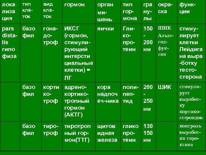 лока лиза ция тип клеток pars базо dista- фил lis гипо физа вид клеток