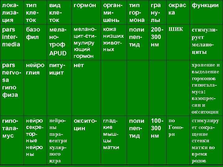 локализация тип клеток pars базо inter- фил media вид клеток гормон органмишень меланотроф APUD