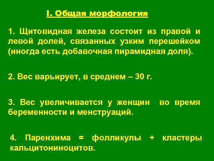 I. Общая морфология 1. Щитовидная железа состоит из правой и левой долей, связанных узким