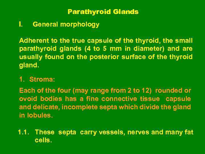 Parathyroid Glands I. General morphology Adherent to the true capsule of the thyroid, the