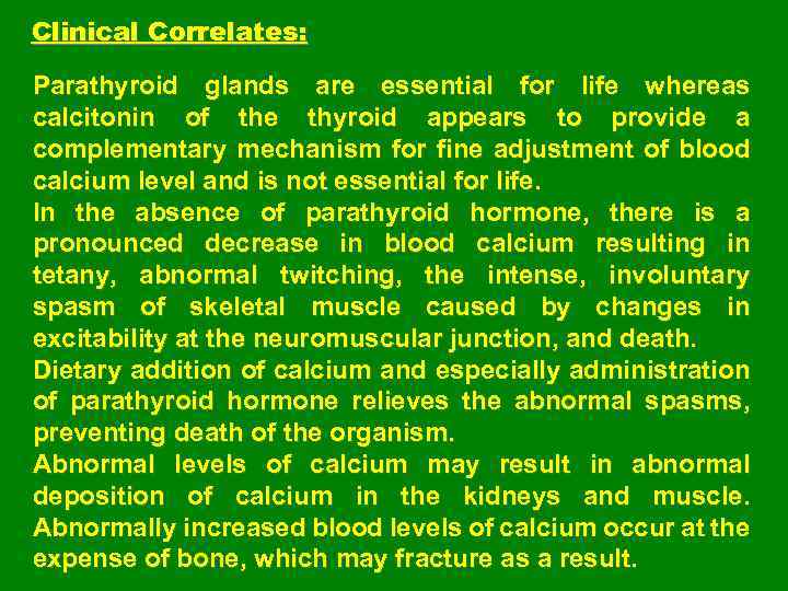 Clinical Correlates: Parathyroid glands are essential for life whereas calcitonin of the thyroid appears