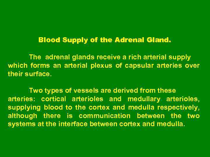 Blood Supply of the Adrenal Gland. The adrenal glands receive a rich arterial supply