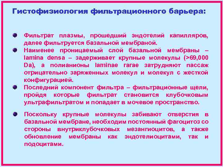 Гистофизиология фильтрационного барьера: Фильтрат плазмы, прошедший эндотелий капилляров, далее фильтруется базальной мембраной. Наименее проницаемый