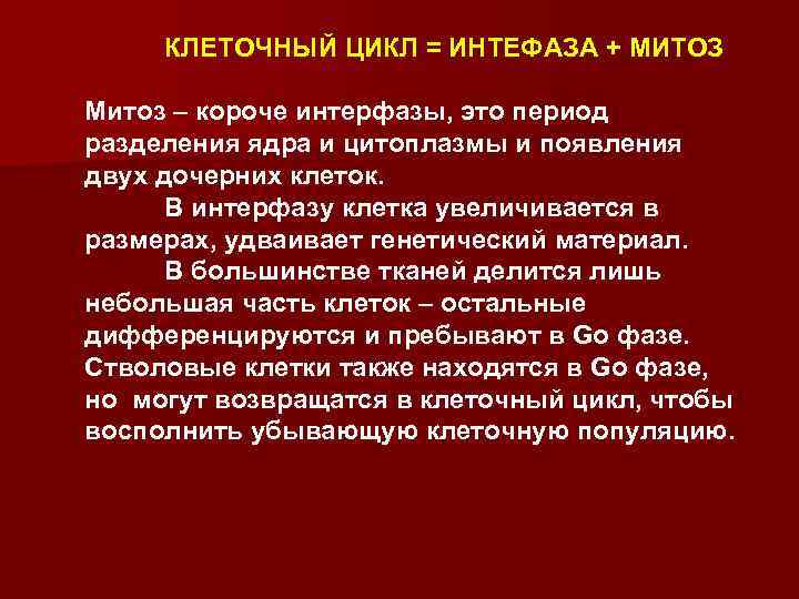 КЛЕТОЧНЫЙ ЦИКЛ = ИНТЕФАЗА + МИТОЗ Митоз – короче интерфазы, это период разделения ядра