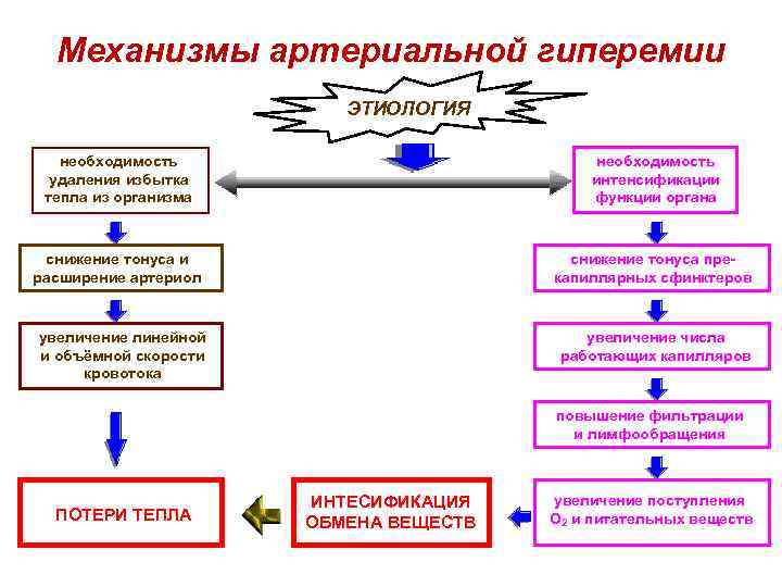 Виды гиперемии схема