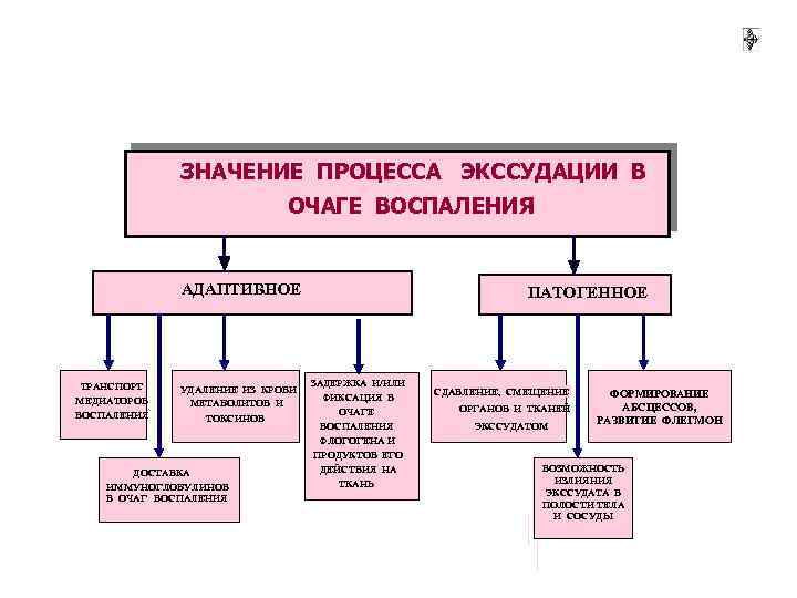 Процесс воспаления