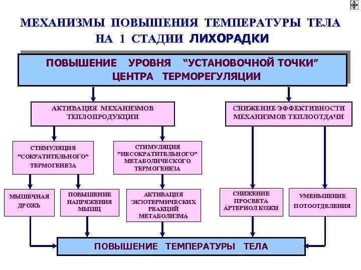 Презентация патология терморегуляции лихорадка